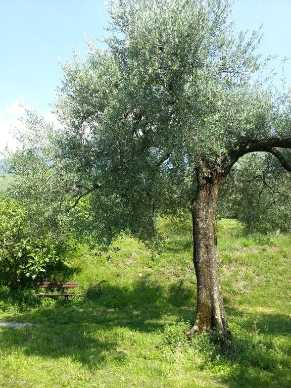 Villa Ca' Dei Gatti à Toscolano Maderno Extérieur photo